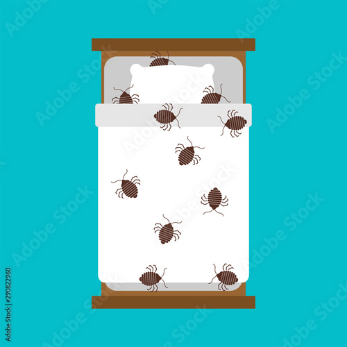 Bedbug in bed. chinch insect vector illustration