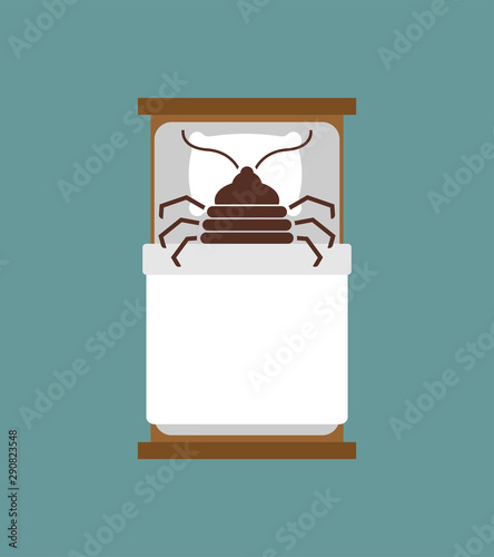 Bedbug in bed. chinch insect vector illustration