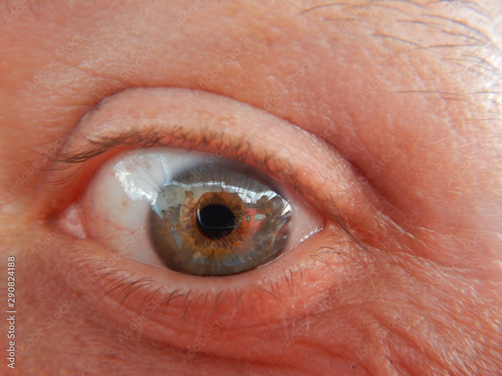 Fototapeta premium oko