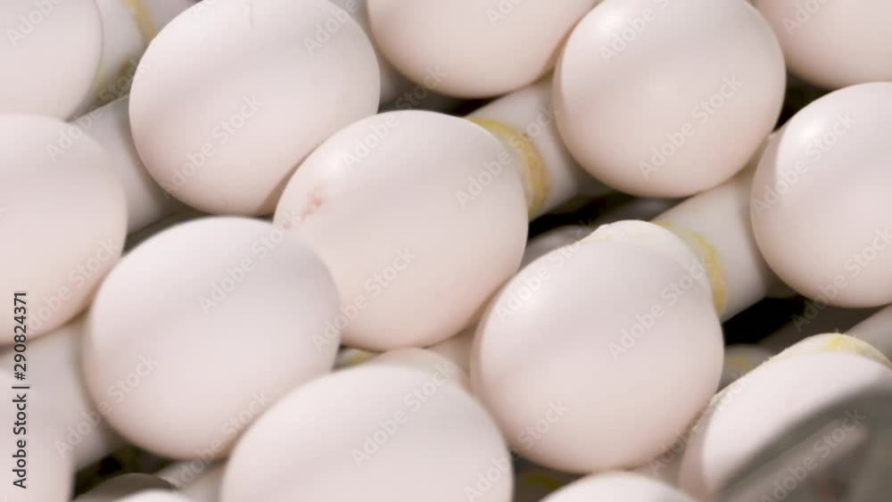 Close up of fresh eggs moving along a production line. Close up of fresh eggs moving along a production line.