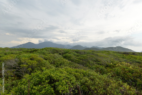 vegetation and mountains in background on the island of Cardoso © JR Slompo