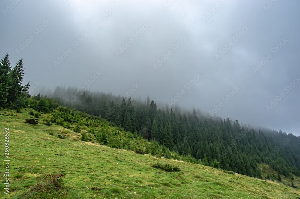 Foggy day in the mountains Foggy day in the mountains