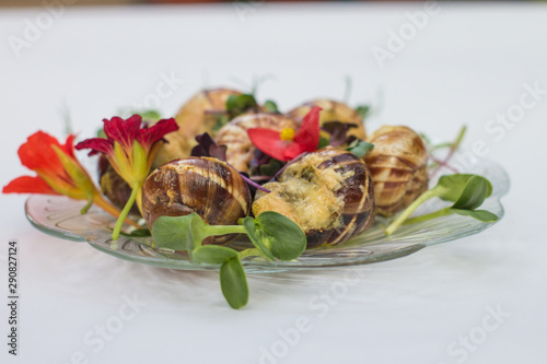 snail Burgundy with micro greenery and flowers. Escargot