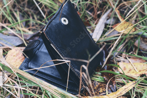 Lost leather wallet with money on autumn grass background, lost money concept. photo