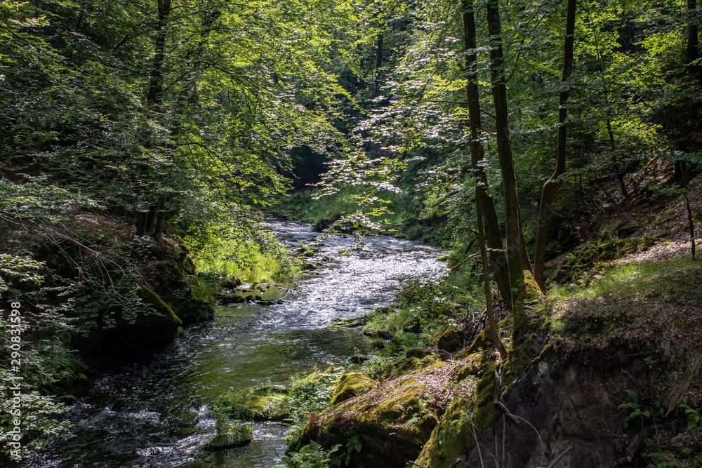 View from the wild Edmunds Gorge in Bohemian Switzerland near the town of Decin, Czech Republic