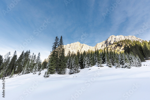 Winter landscape with snowy alps and forest.