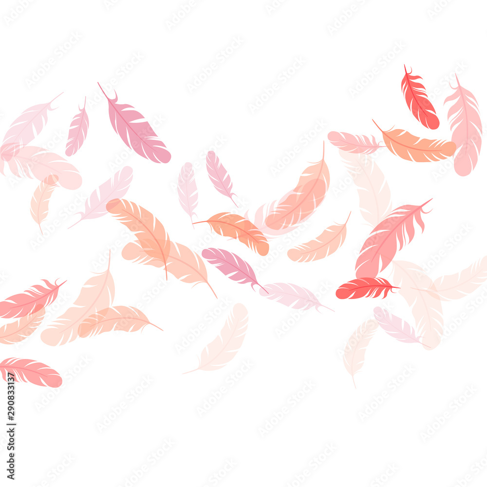 Obraz premium Falling feather elements soft vector design.