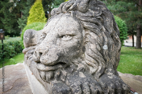 Fragment  stone  antique  sculpture of a lion in the park.