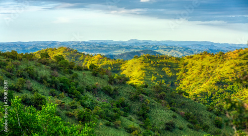 green panorama view To Mago National Park, Omo Valley, Omorati Etiopia, Africa nature and wilderness photo