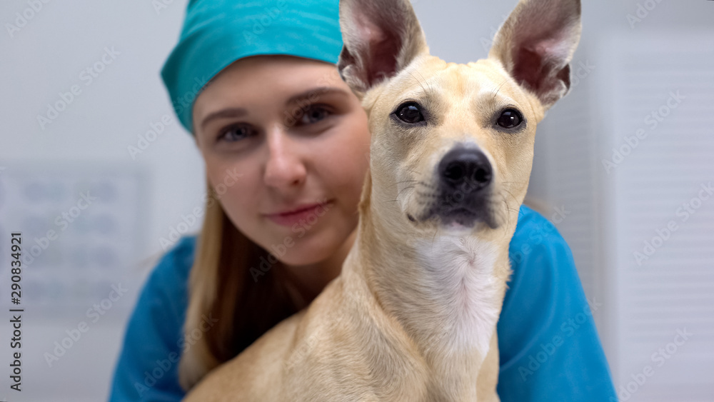 Smiling vet doctor with funny dog posing on camera, professional pet clinic care