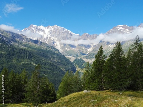 The "Monte Rosa" Massif seen from the woods and the pastures of the older valley, near the town of Macugnaga - August 2019.