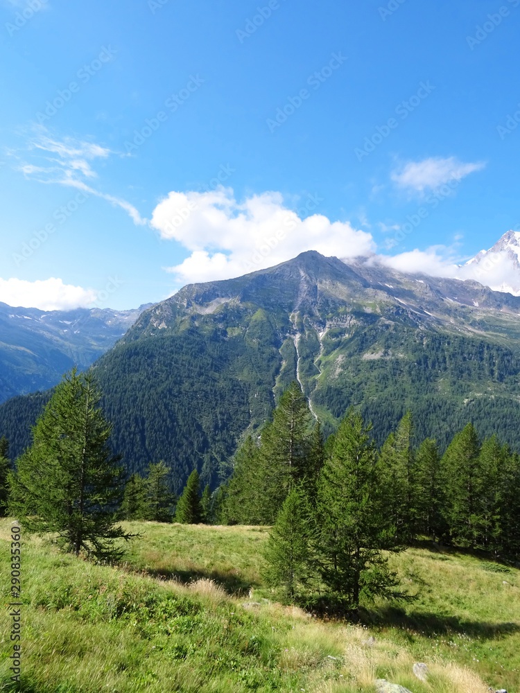 The woods and the nature of the Anzasca valley, at the foot of Monte Rosa, near the town of Macugnaga, Italy - August 2019.