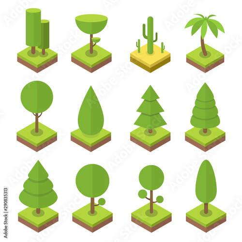 Isometric tree set. Big and small trees, pine, shrubs, felled trees, cacti, palms. Vector illustration.