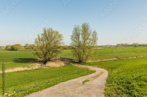 Dutch polder landscape in spring with gate to meadows in floodplains along river dike with bicycle path in perspective against background with clear blue sky