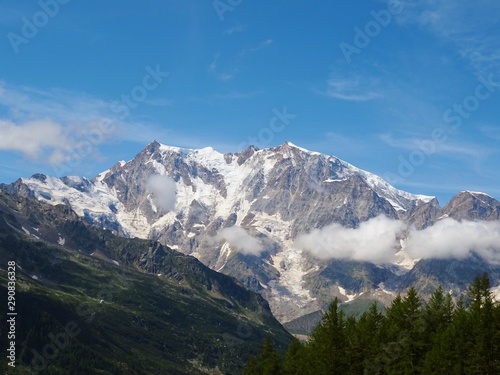 The  Monte Rosa  Massif seen from the woods and the pastures of the older valley  near the town of Macugnaga - August 2019.