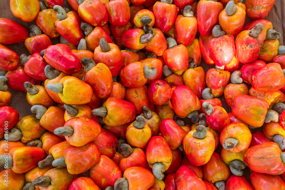 Ripe cashew fruits for sale at a fruit and vegetable market in Arembepe, Bahia - Brazil Ripe cashew fruits for sale at a fruit and vegetable market in Arembepe, Bahia - Brazil