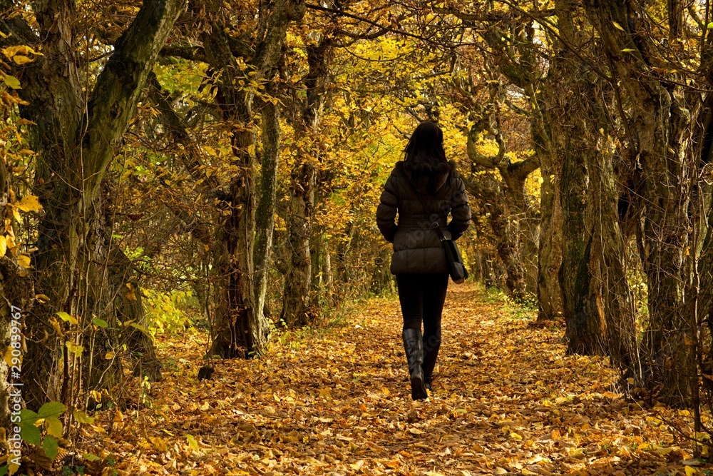 young woman walking in autumn forest young woman walking in autumn forest
