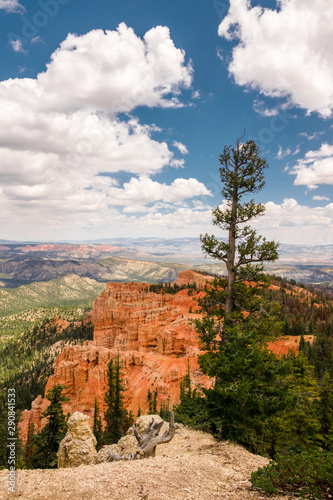 Black Birch Canyon at Bryce Canyon National Park