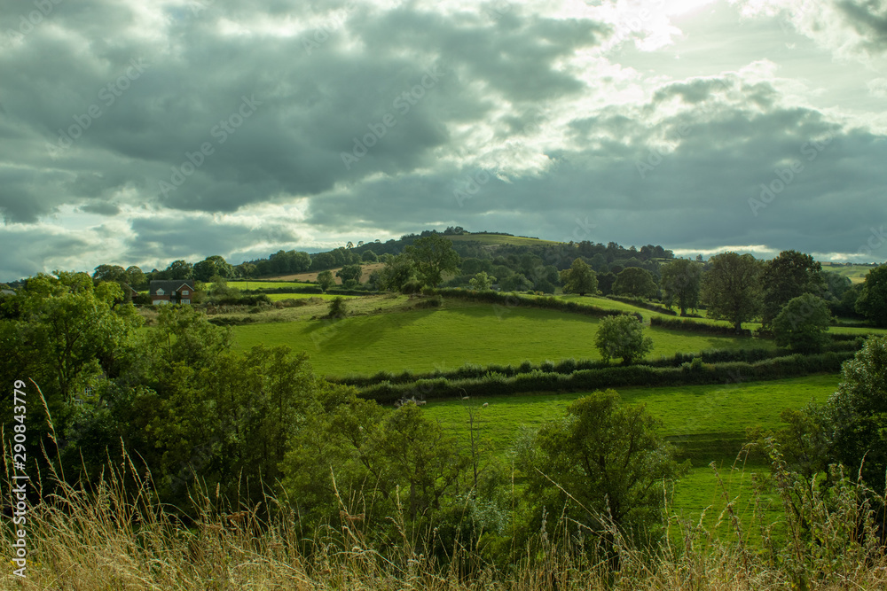Green fields with sheep and houses