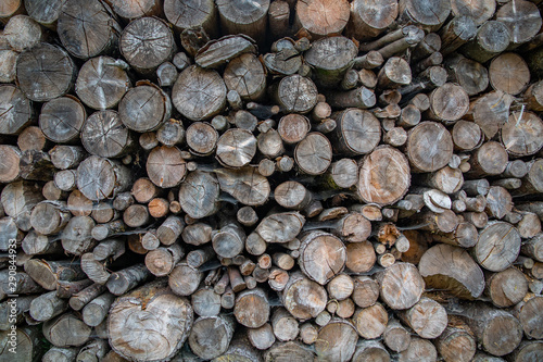 Pile of cut logs used for firewood. The stack creates an interesting and natural pattern.