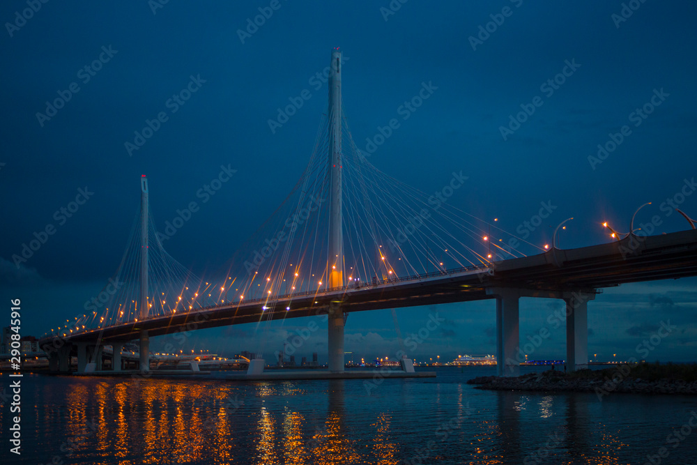 Obraz premium Bridge in Saint Petersburg Russia