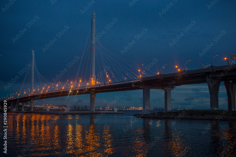 Bridge in Saint Petersburg Russia