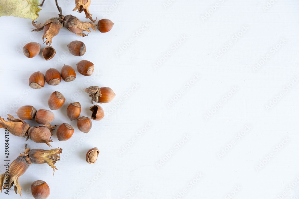 Hazelnuts on a light background. Healthy nuts. Fruits of a forest shrub, hazel. Flat lay, top view.