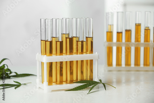 Test tubes with urine samples and hemp leaves on table