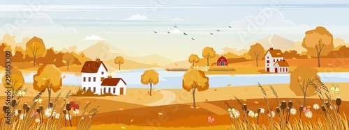 FFantasy panorama landscapes of Countryside in autumn,Panoramic of mid autumn with farm field, mountains, wild grass and leaves falling from trees in yellow foliage. fall season background