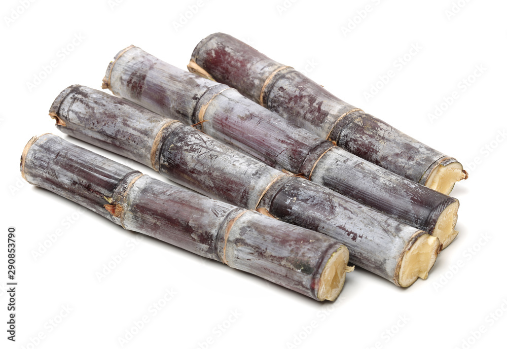 Fototapeta premium Fresh Sugar cane on white background.