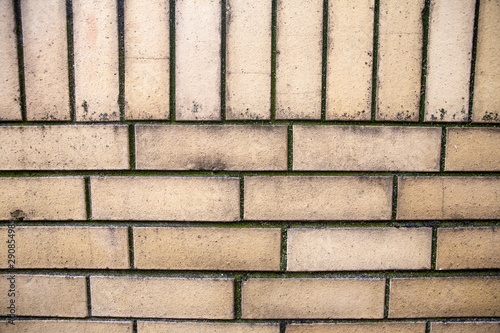 Brick wall. Brick background.