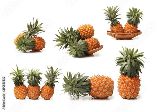 Pineapple. Gourmet, fruit