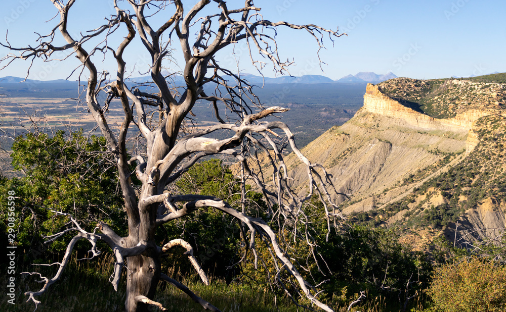 Juniper Skeliton and Knife Edge Ridge