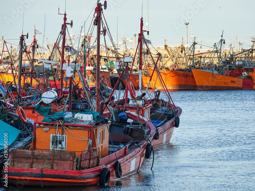 Port of Mar Del Plata, Buenos Aires, Argentina photo
