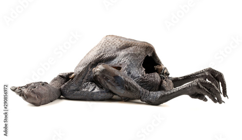 Black Chicken isolated on white background
