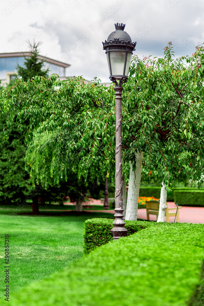 an iron lamppost with a pattern and a lantern with a glass shade in a garden with plants and hedges from an evergreen thuja trimmed with a square.