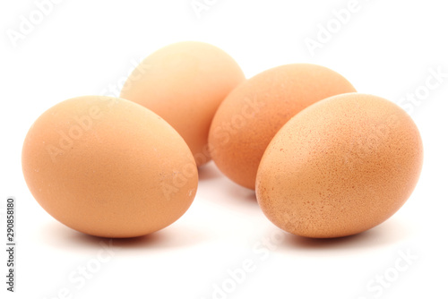 eggs on white background