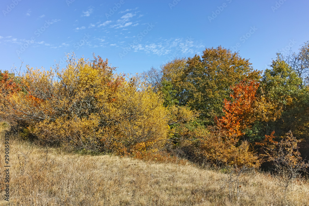 Autumn view of Cherna Gora (Monte Negro) mountain, Bulgaria Autumn view of Cherna Gora (Monte Negro) mountain, Bulgaria