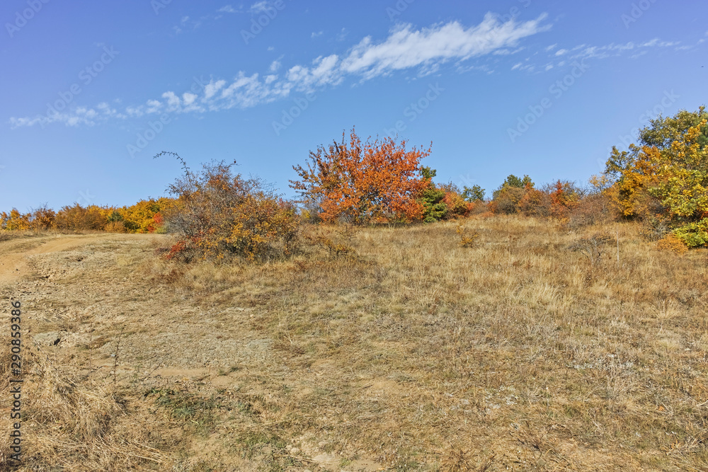 Autumn view of Cherna Gora (Monte Negro) mountain, Bulgaria