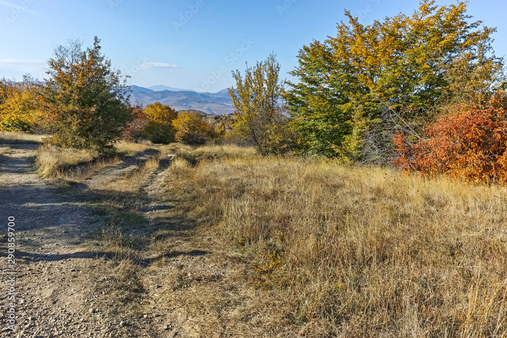 Fototapeta premium Autumn view of Cherna Gora (Monte Negro) mountain, Bulgaria