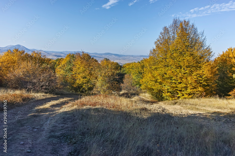 Fototapeta premium Autumn view of Cherna Gora (Monte Negro) mountain, Bulgaria
