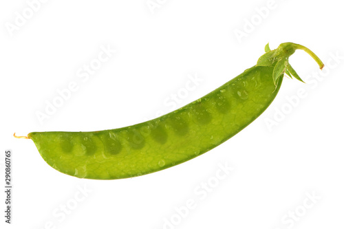Snow pea isolated on white background.