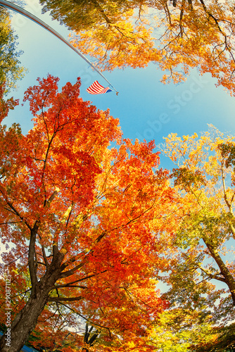 American flag waving in the wind with beautiful autumn foliage tree tops against blue sky at a park in New England. Upward view. Fisheye capture.