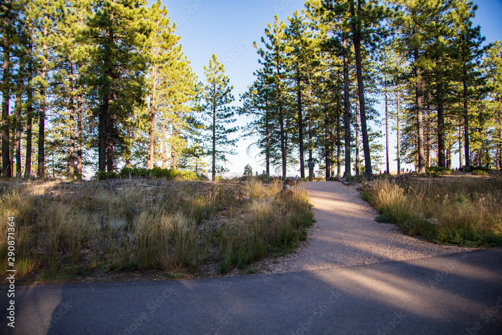 Naklejka premium The asphalt trail outside the Bryce Canyon National Park lodging runs along the rim of the canyon does not give the surprising view that awaits it's visitors