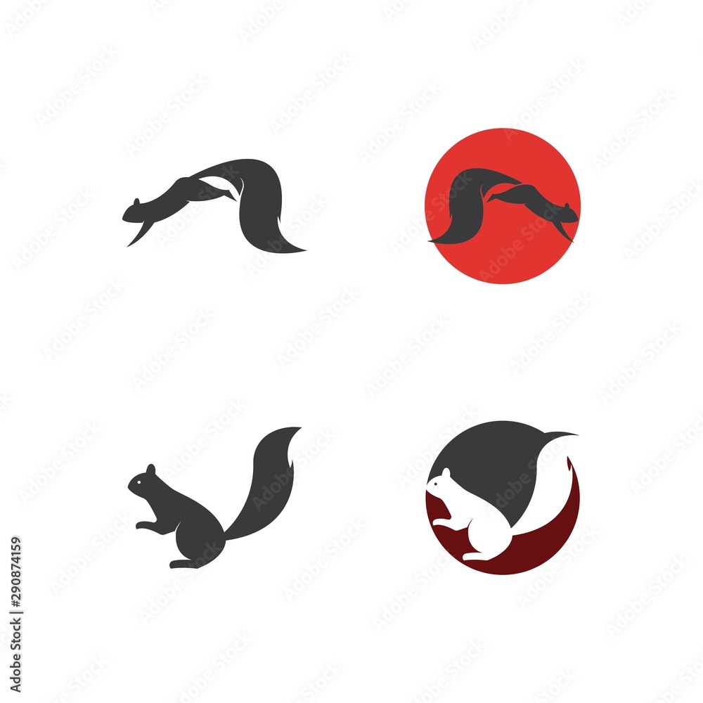 Obraz premium squirrel logo vector icon illustration design