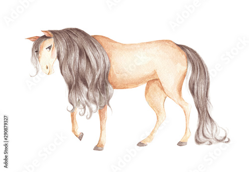 Brown horse isolated on white background. Hand drawn animal art. Watercolor illustration.