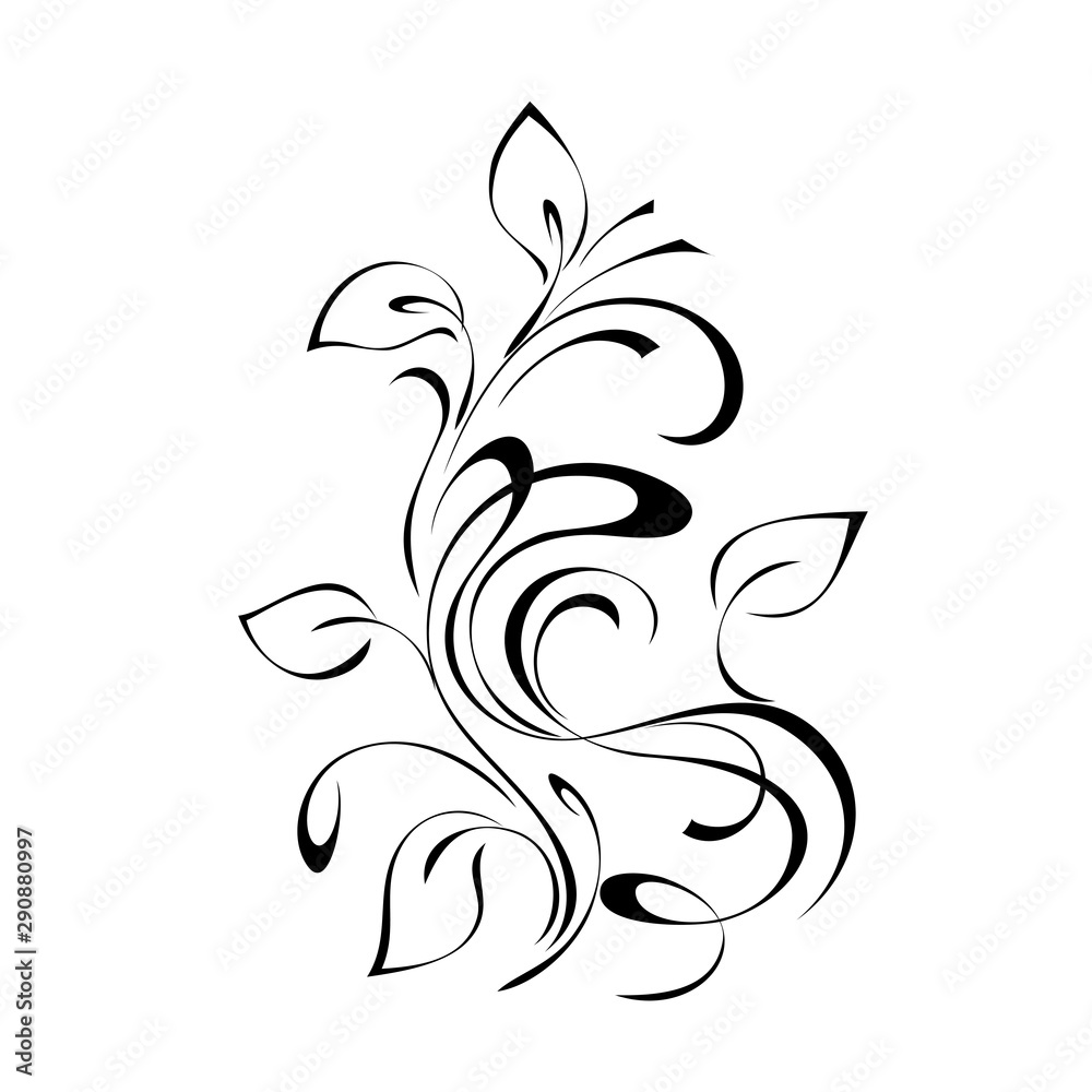 decorative element with stylized leaves and curls in black lines on a white background decorative element with stylized leaves and curls in black lines on a white background