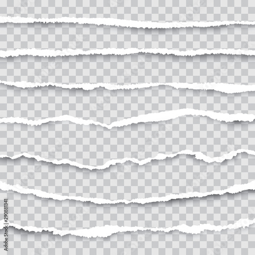 A set of torn pieces of paper isolated. Used as a background and adding text for all design.