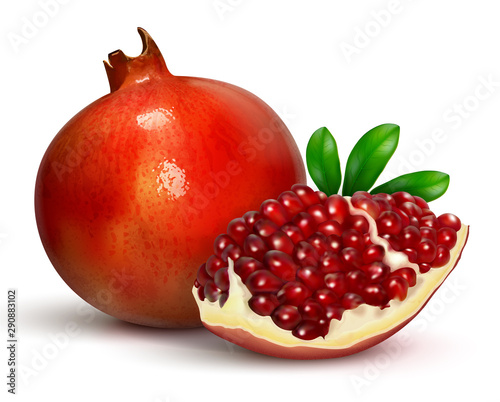 Pomegranate with a quarter of a fruit with burgundy seeds. Realistic illustration for advertising juice, cosmetics, spa. For design of products and cosmetics. Isolated on a white background. Vector