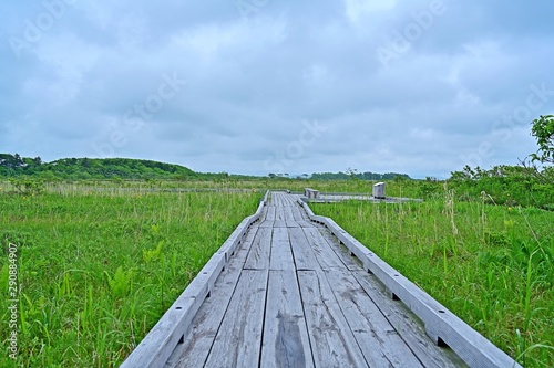 サロベツ原生花園から見る湿原の情景＠サロベツ湿原、北海道